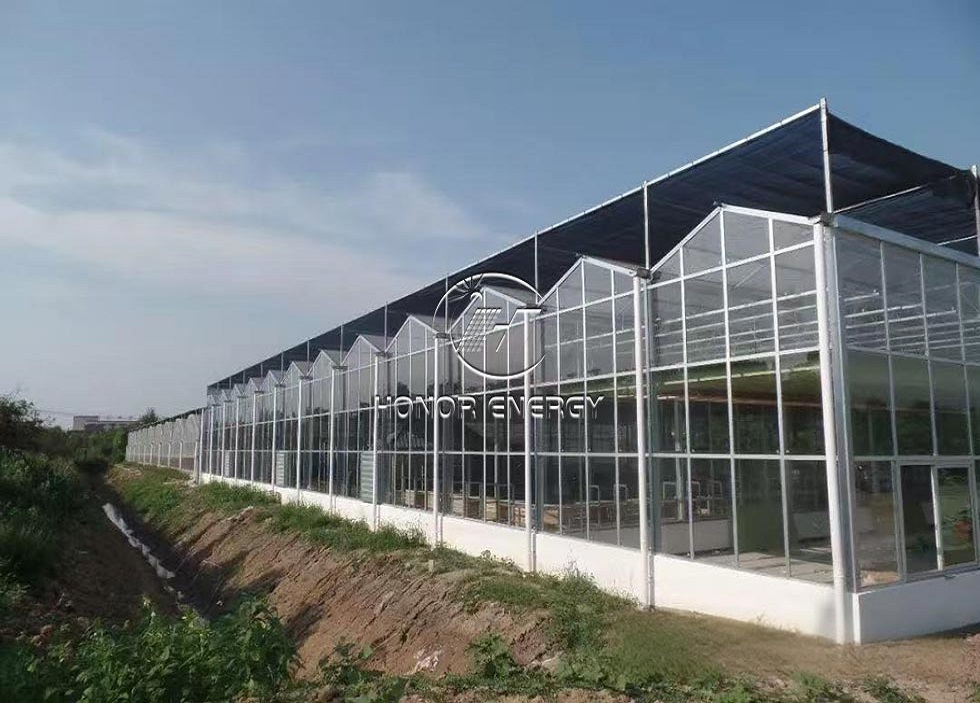 Greenhouse Solar Farmland Mount